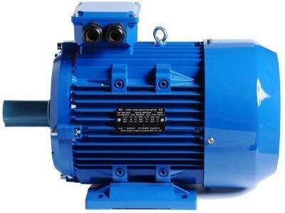 The importance of a robust warranty when buying bulk electric motors