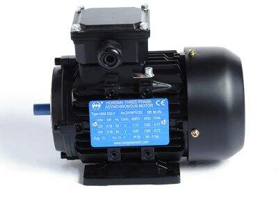 Num quaeris fidem asynchronos motores electricos pro tuis operationibus?