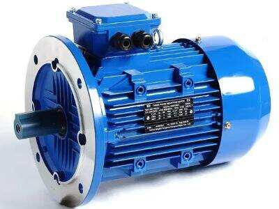 Why insulation class matters for a high temperature three-phase electric motor