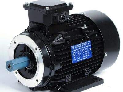 Why Consider Us as Your Three-Phase Electric Motor Manufacturing Partner?