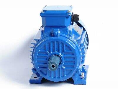 How to troubleshoot common starting issues with a three-phase electric motor