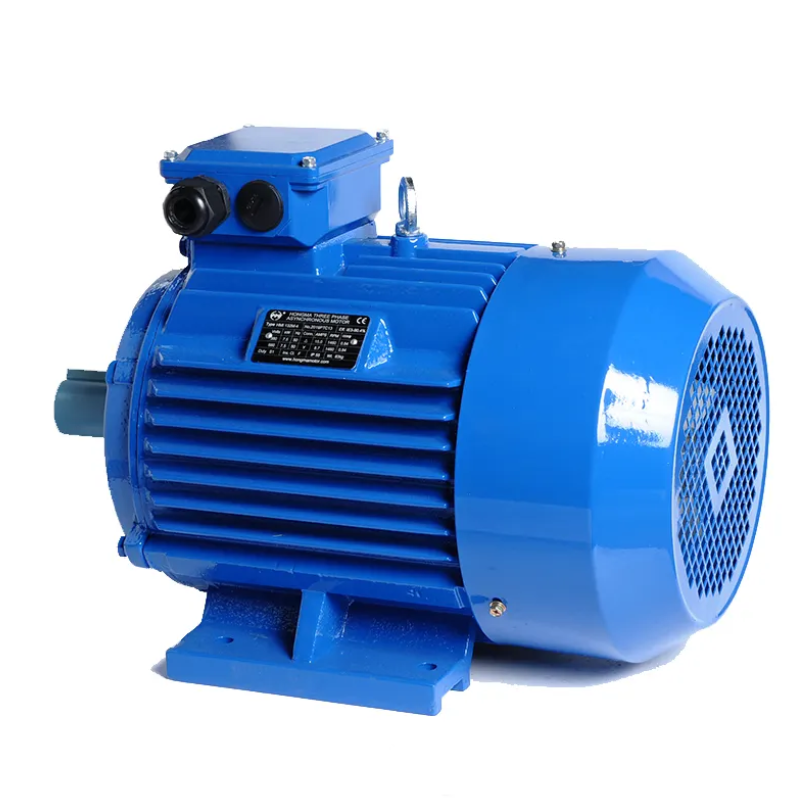 What Does IP Rating Stand for with Outdoor Electric Motors?
