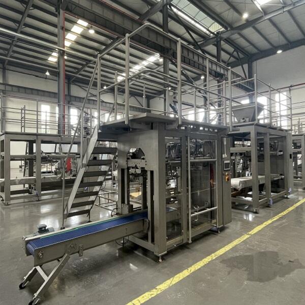 Security in Automatic Bagging Machine