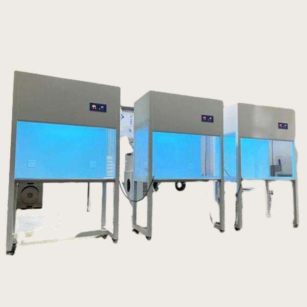 Prix compétitifs et excellent service clientèle pour les acheteurs en gros