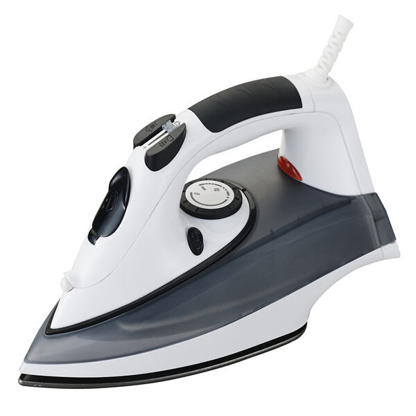 Provider and Quality of The Mini Steamer