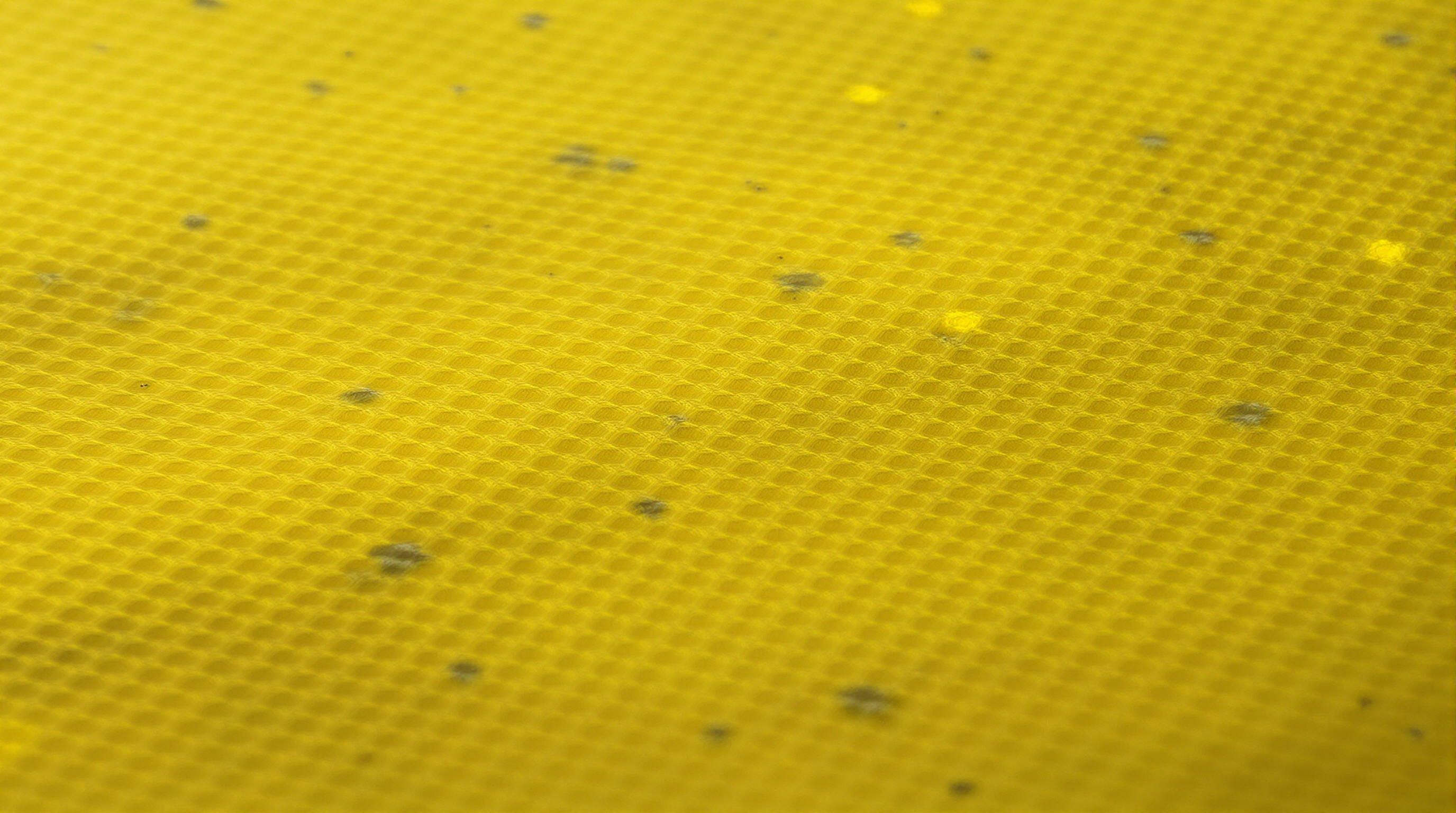 Macro view of interwoven Kevlar fibers with subtle appearances of steel and HPPE samples in a muted industrial setting