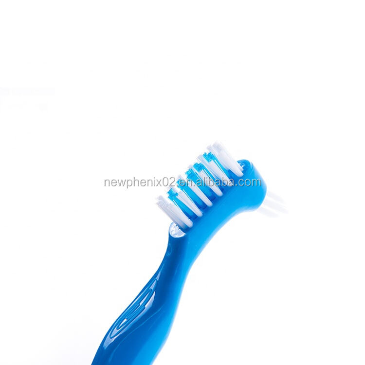 Direct Factory for Double Sided OEM Available High Quality Denture Brush Denture Toothbrush with A Blister Card supplier
