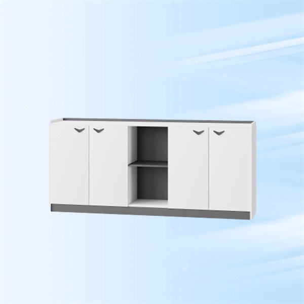 Armoires de bureau durables et résistantes pour commandes en gros