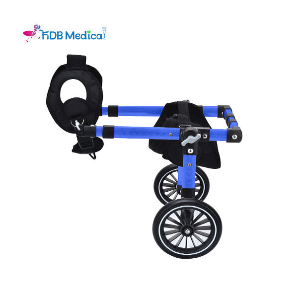 Get to Know 2019 Trend New Products Rolling Walker for Wholesale Buyers