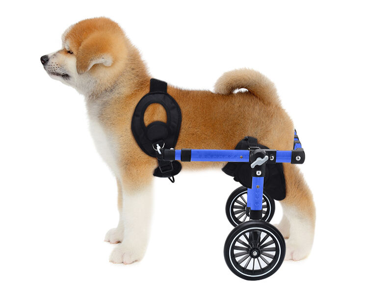 ()_02.jpg