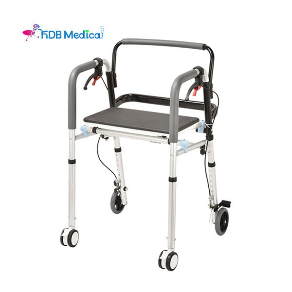 Assistance and Mobility Support to Life with Trusty Walking Aids