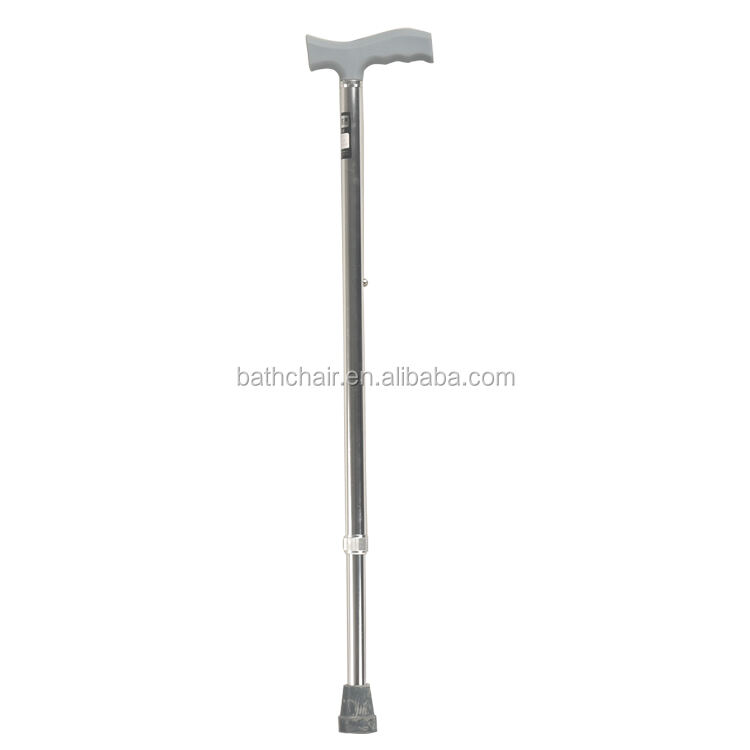 921 walking stick (2).jpg