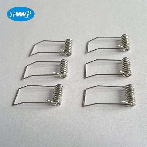 DIY vs Professional Replacement of Garage Door Springs