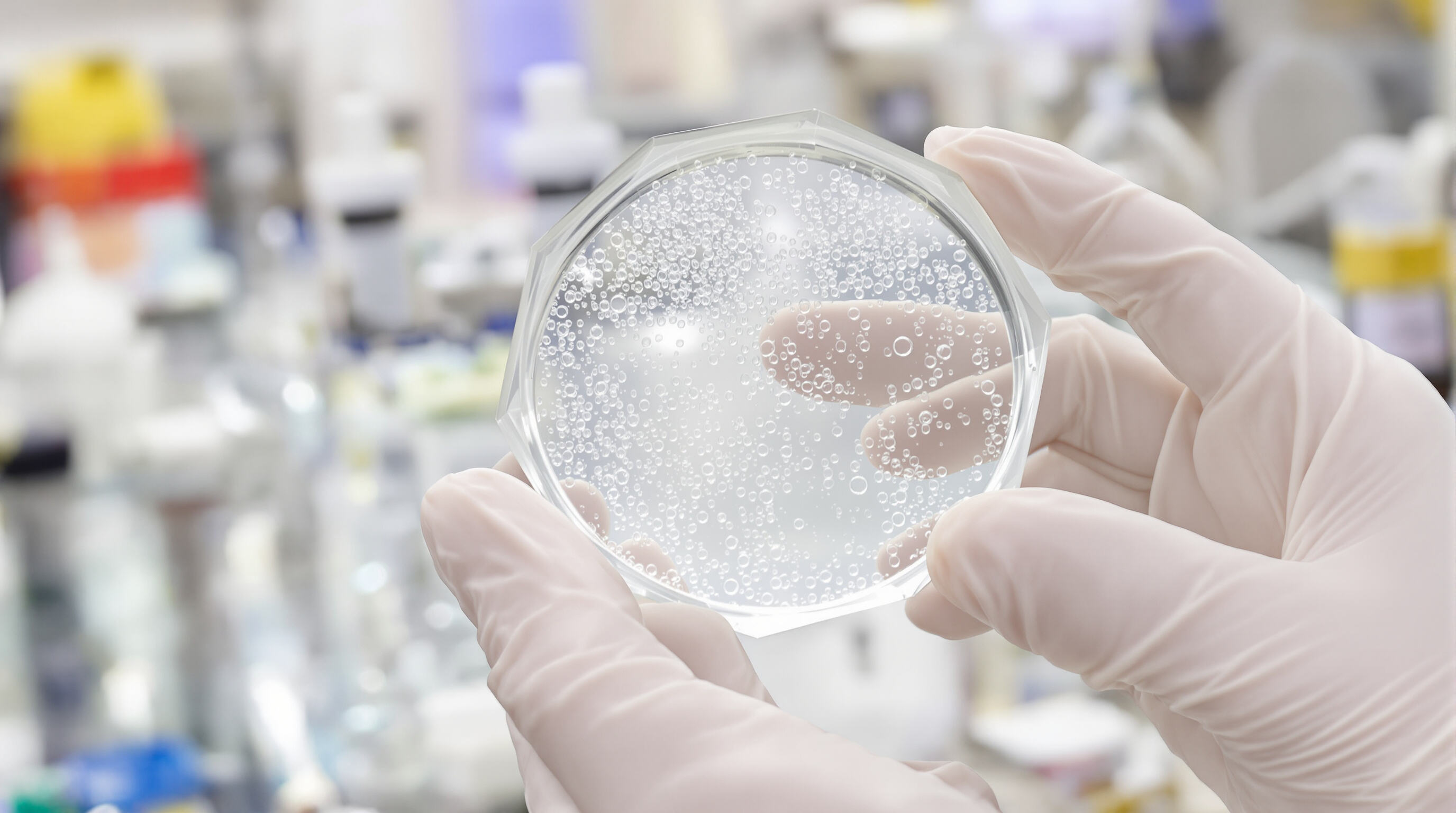 Gloved hands holding a clear hydrogel sample in a lab setting