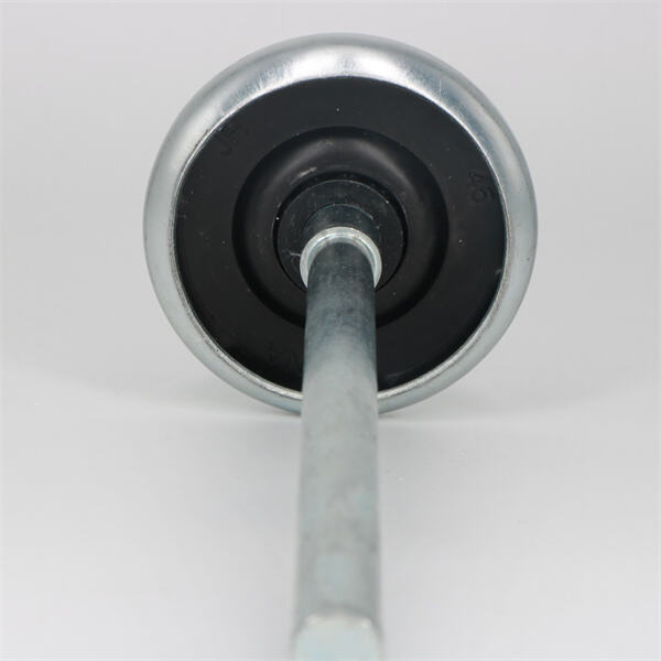 Funcionamiento duradero y suave para sus puertas de garaje