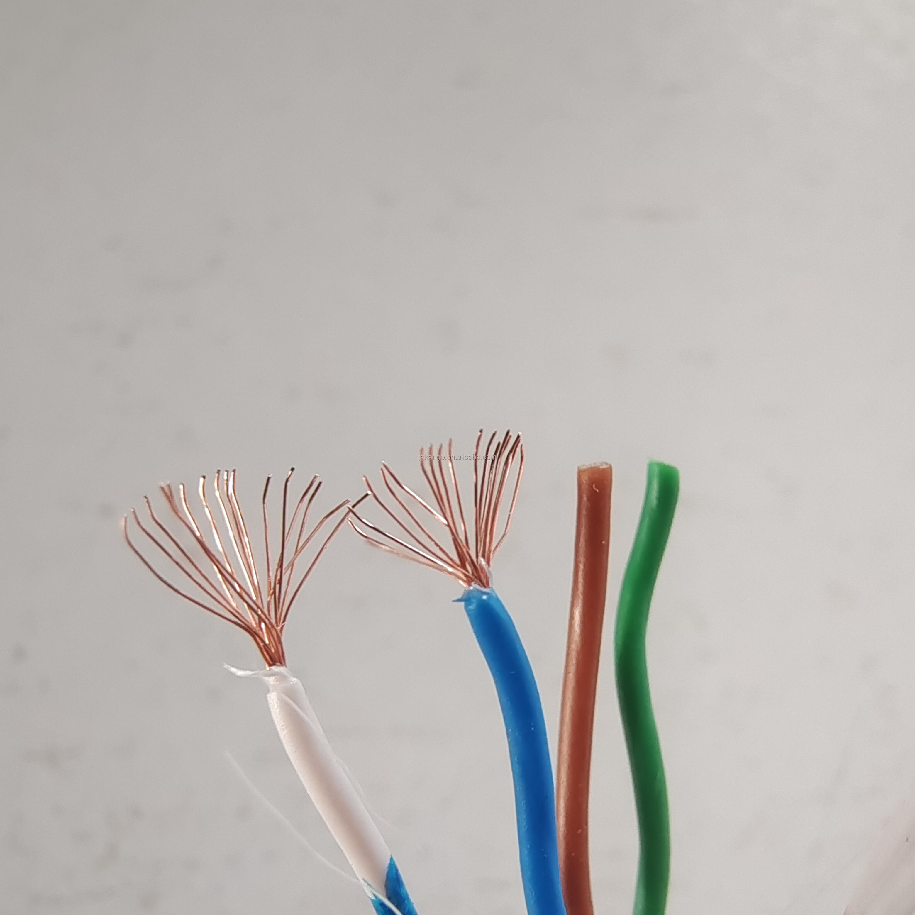 20250410134900.jpg