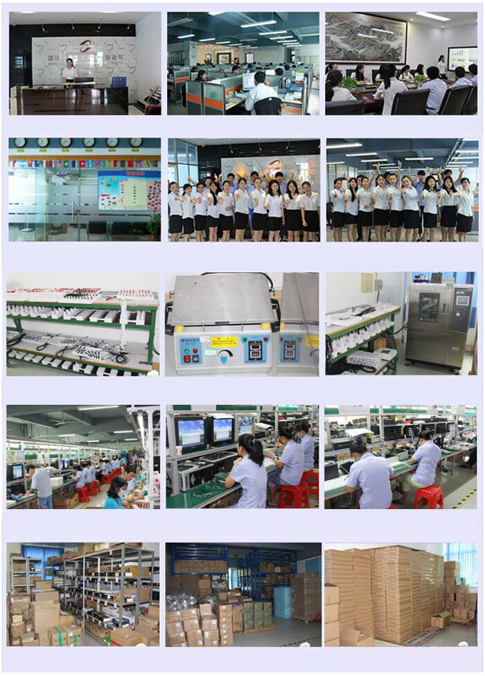 ISO9001 Factory Magic Recording Pen Adult Multi Language Translation Talking Pen OID Special Touch Reading Pen