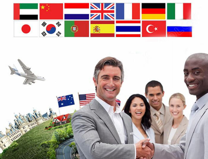 ISO9001 Factory Magic Recording Pen Adult Multi Language Translation Talking Pen OID Special Touch Reading Pen