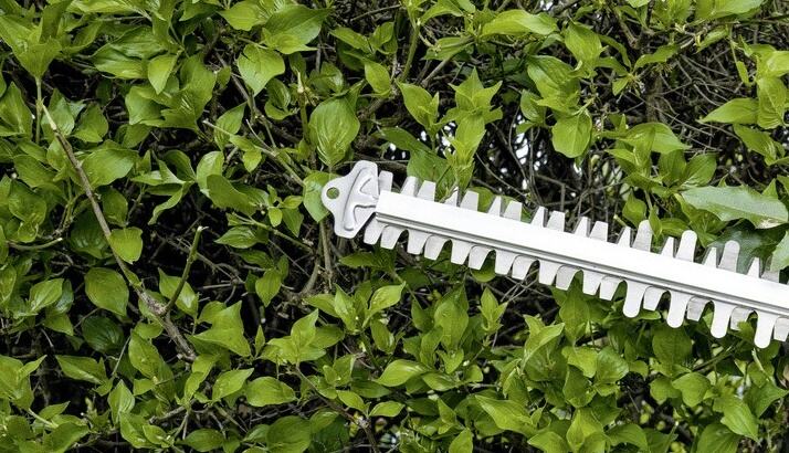 Hedge Trimmer factory