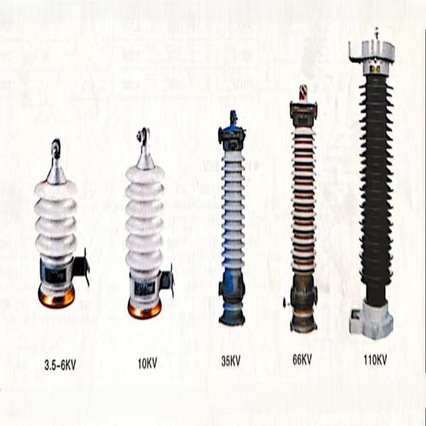 Customizable insulator options for bulk orders