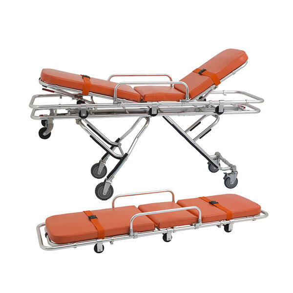Efficient and user-friendly design for healthcare professionals.
