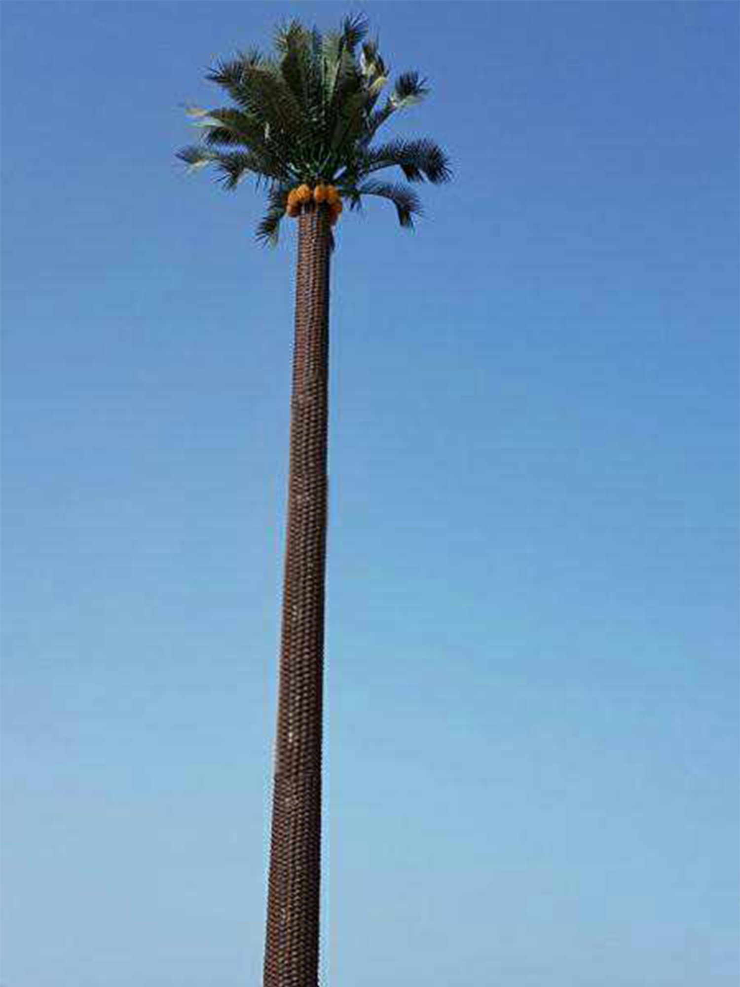 ʻO Bionic Palm Tree ma Oman