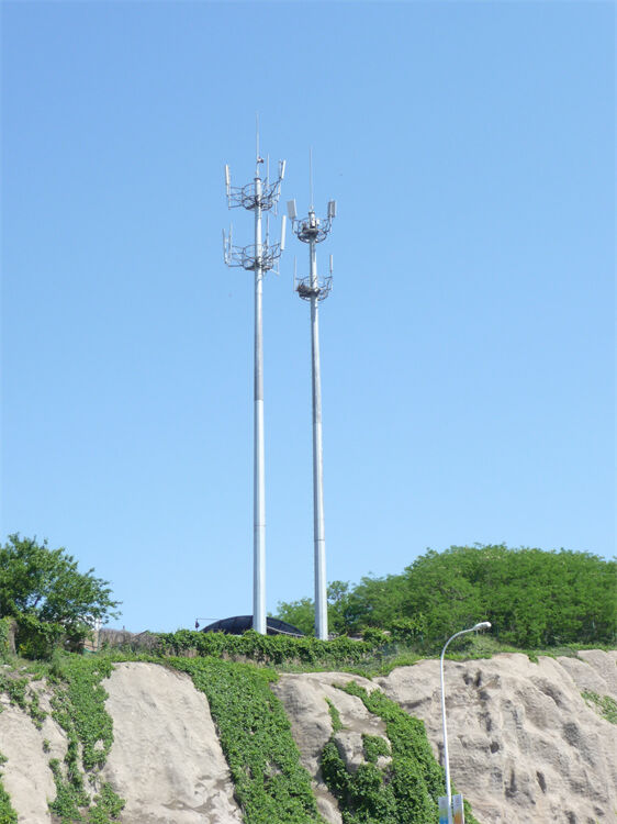 Monopole Tower details