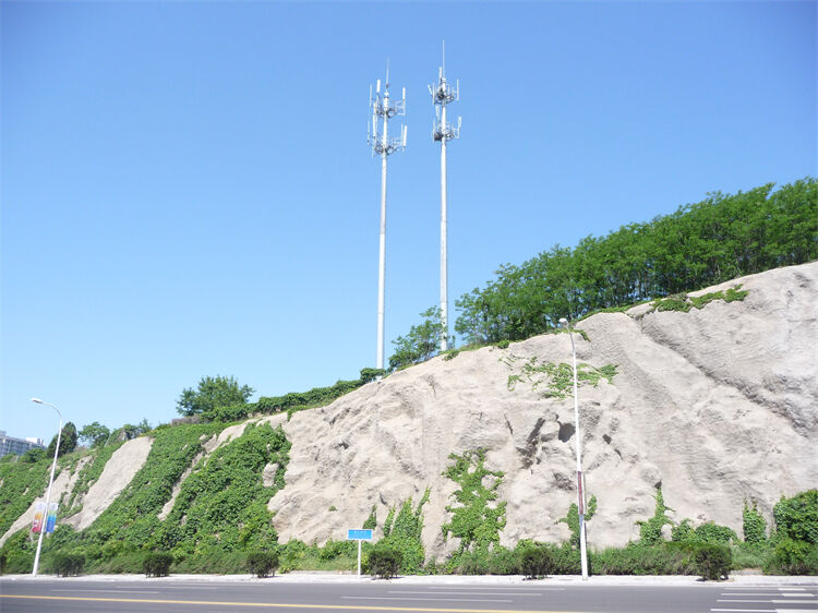 Monopole Tower-Fabrik