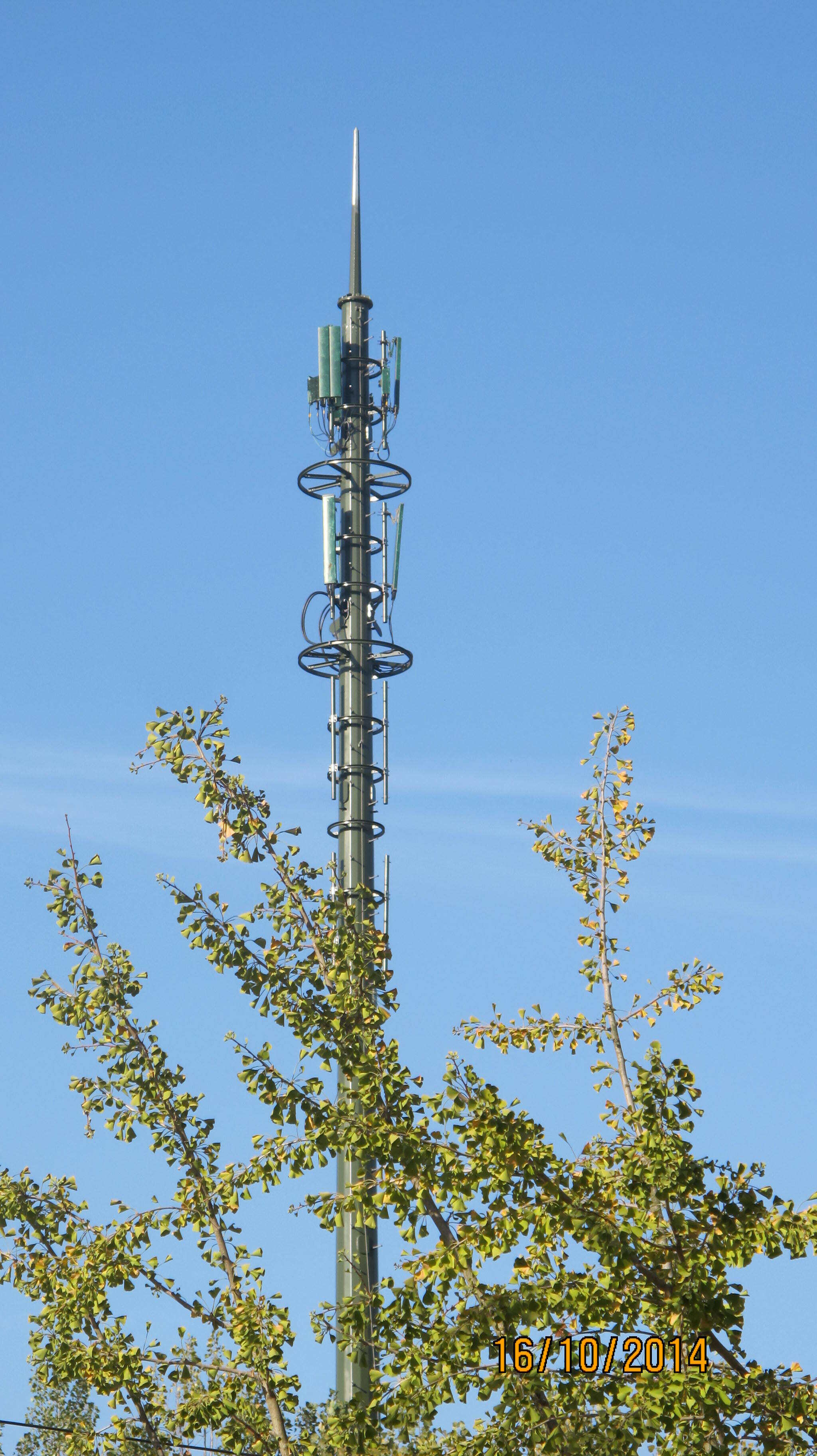 Antenni masti üksikasjad