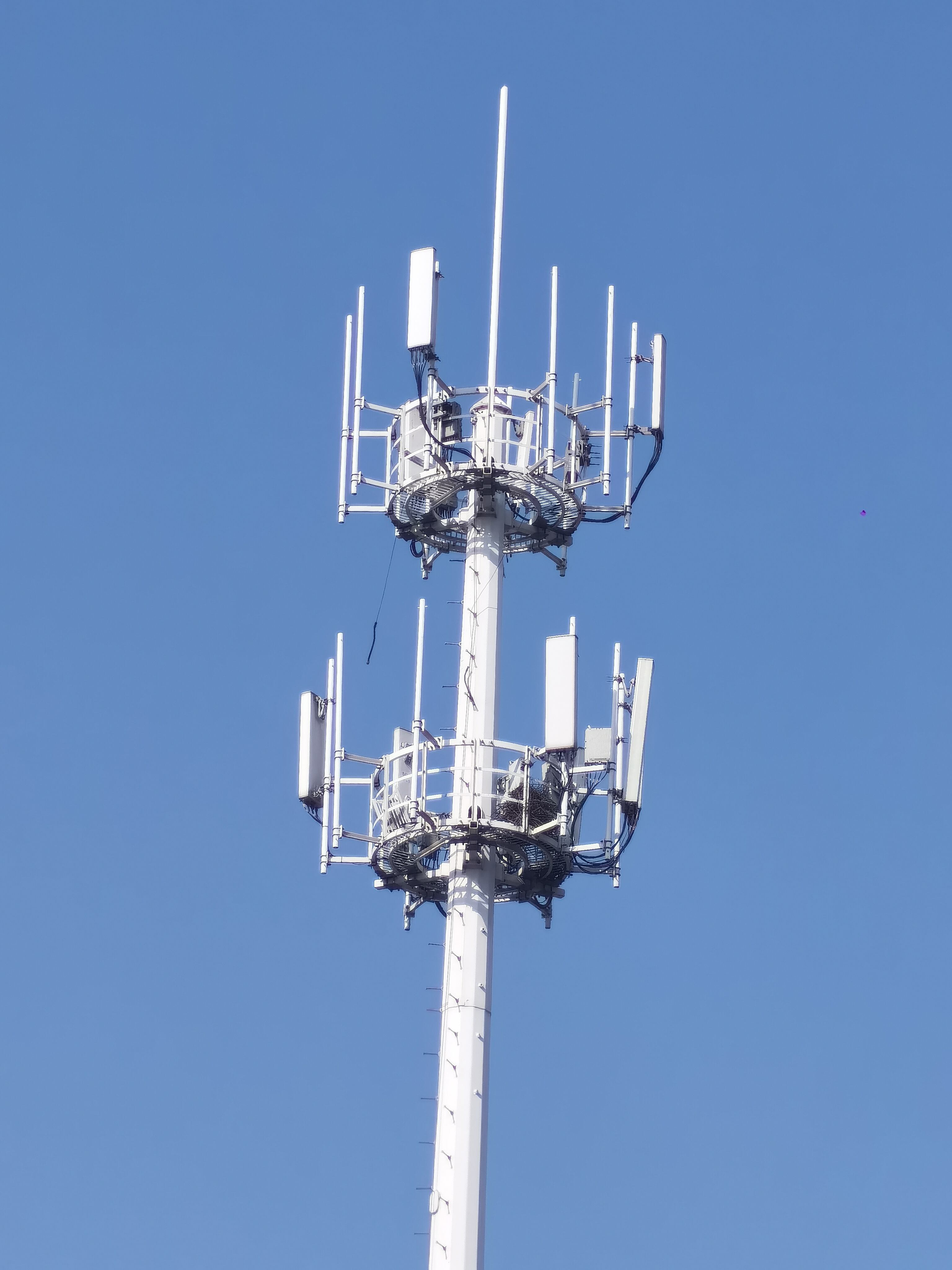 Pembekal Transmisi Komunikasi Antena Menara Monopole