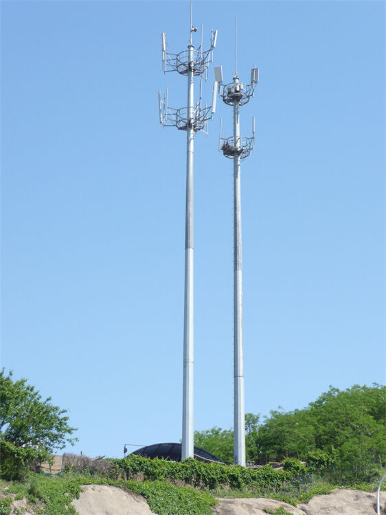 Monopole Tower details