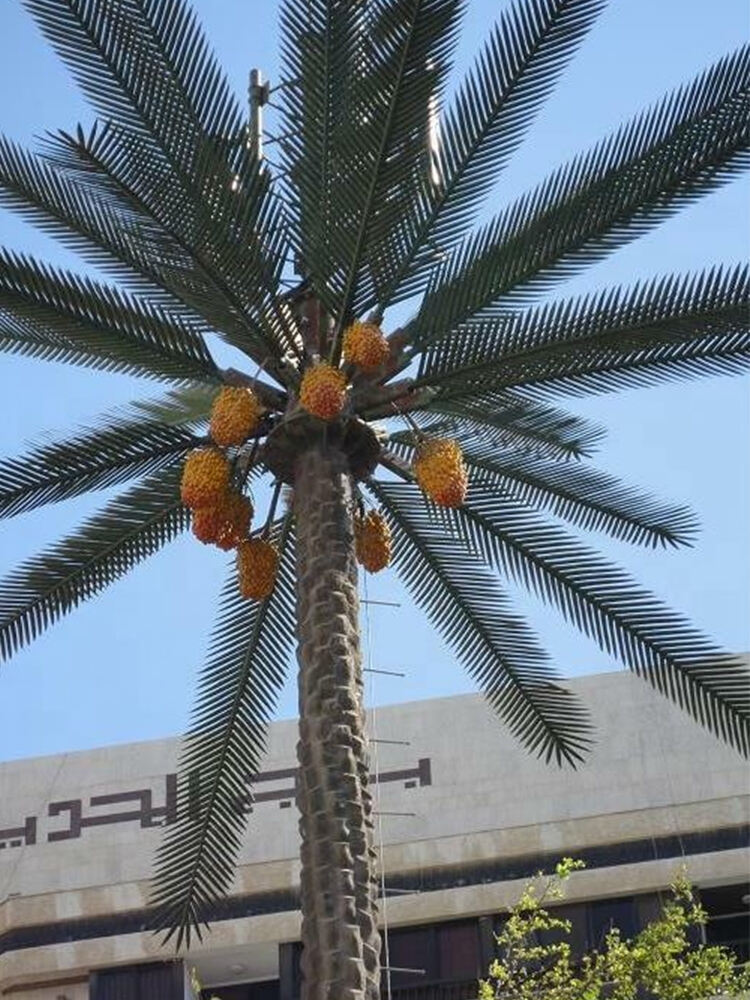 Kamuflāžas ventilatora palmu koku tornis