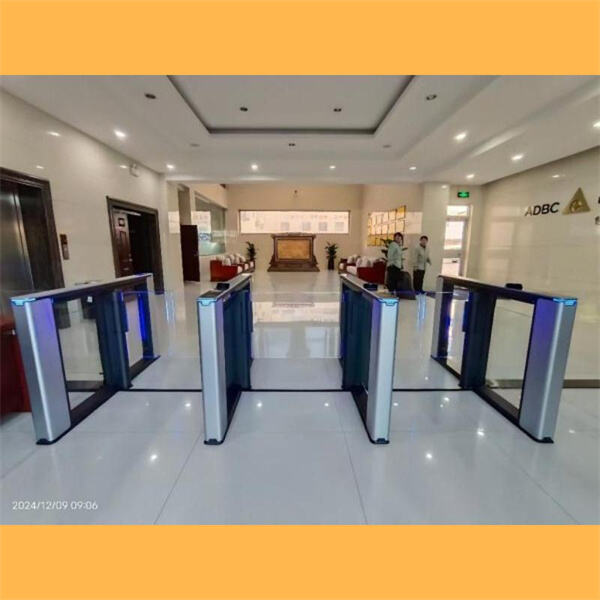 Οι πιθανές θετικές επιπτώσεις και οι προκλήσεις που συνδέονται με την εφαρμογή της αναγνώρισης προσώπου στις υπηρεσίες της κυβέρνησης.