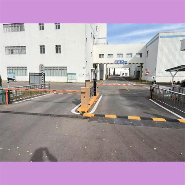 Reliable protection against unauthorized access or intrusion