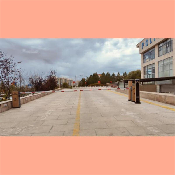 Ενισχύστε την ασφάλεια και τον έλεγχο πρόσβασης με ράμπα FAAC