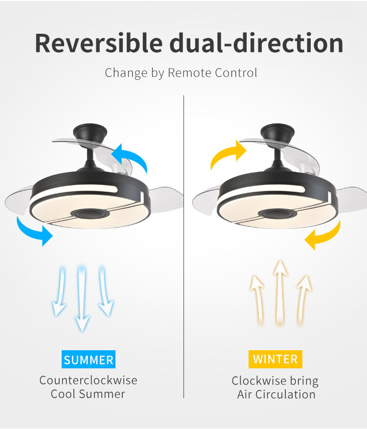 Ceiling Fan with Light Fixtures for Bedroom with Remote Quiet Silence Modern Ceiling Uk Led Fan and Light with Speaker details