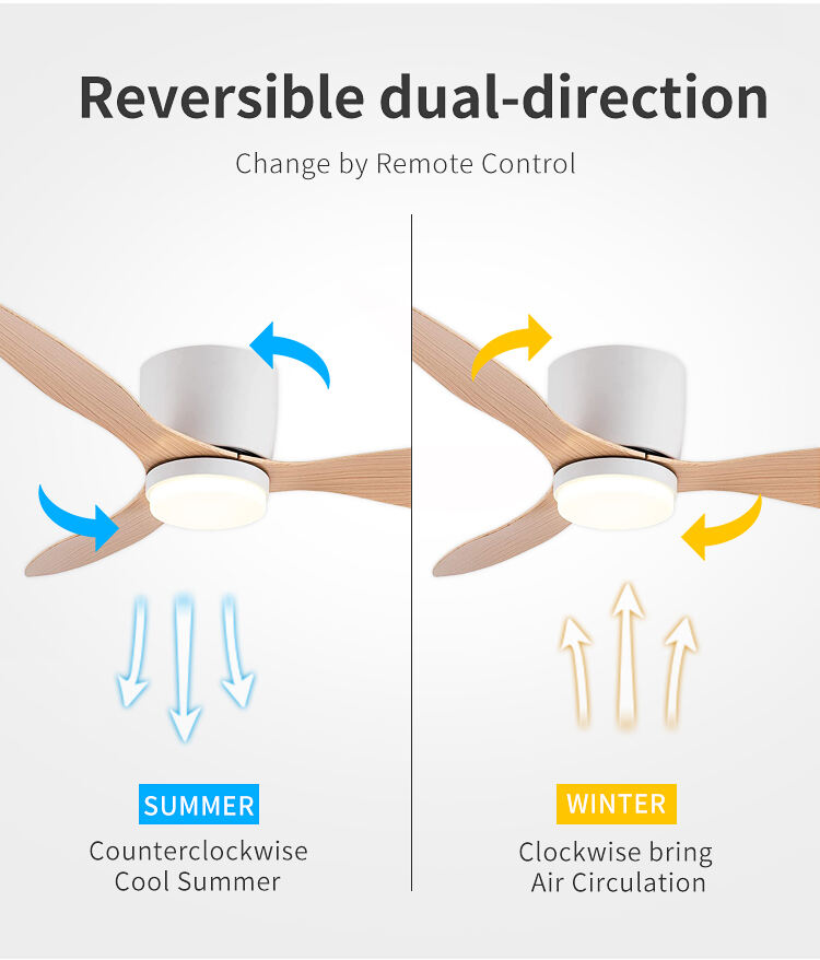 Contemporary Ceiling Fan with Light Modern Trending Modern Ceiling Light with Fan Ceiling Fan with Light and Remote details