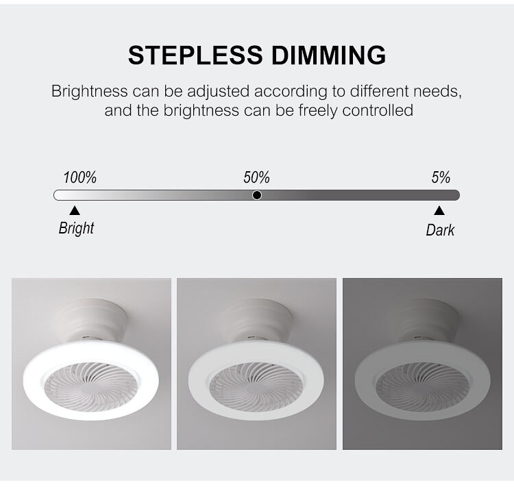 Factory Socket Fan Light Bulb Small Socket Fan Light Dimmable Screw in Socket Fan Light with Remote Control details