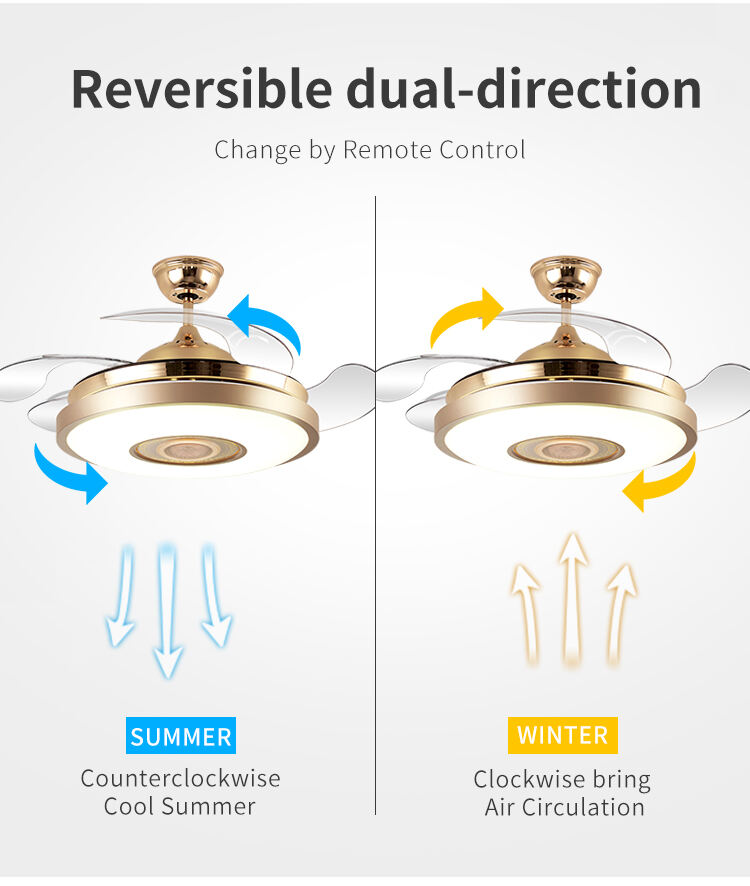 Beautiful Gold Modern Remote Control Fan Lamp Ceiling Mounted Interior Fan Lamp Ceiling Fan with Light for Island Bedroom factory