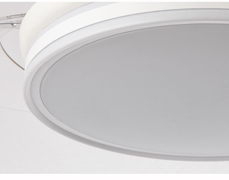 Modern White Ceiling Fan with Light for Bedroom 110V 220V Fan Lamp 72w Led Ceiling Fan Light and Remote Control 3 Color Dimmable details
