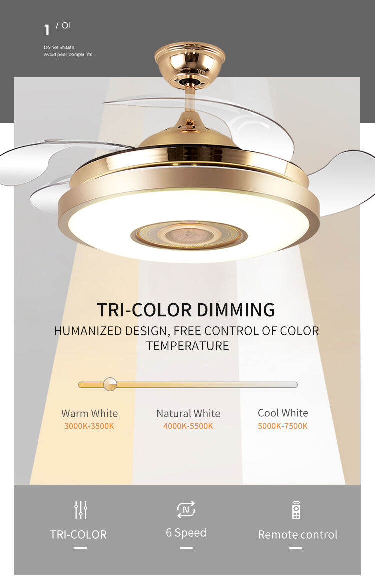Beautiful Gold Modern Remote Control Fan Lamp Ceiling Mounted Interior Fan Lamp Ceiling Fan with Light for Island Bedroom details