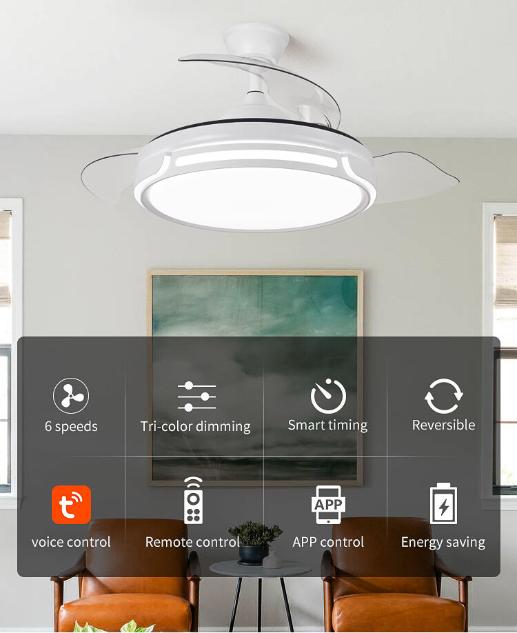Y066 Modern 42 Inch LED Ceiling Fans Remote Control 110/220v Designer Luz Ventilador Oculto for Bedroom DC supplier