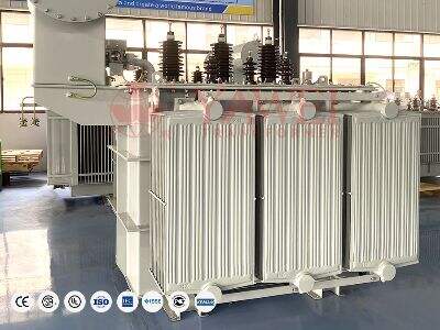 Oil Immersed Distribution Transformers Built for Harsh Operating Conditions
