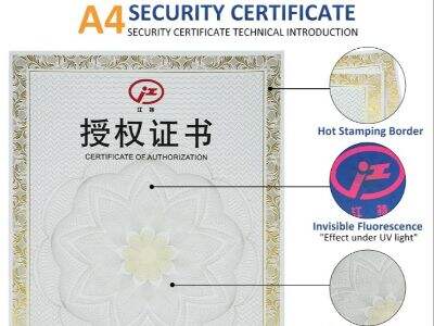 How Guilloche Patterns Enhance Document Security