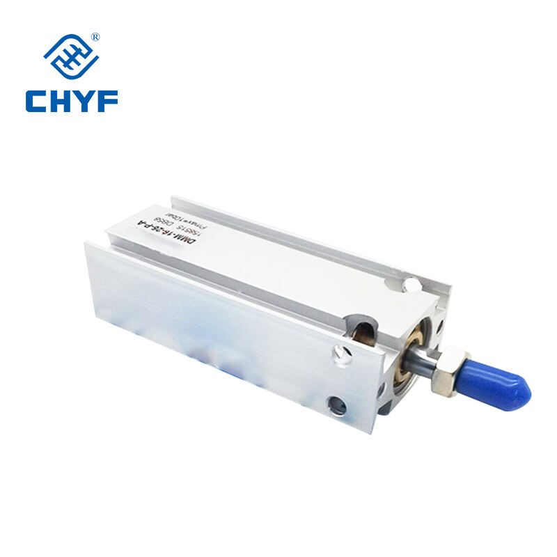 product dmm  cylinder standard pneumatic cylinder  high precision   dmm 20 10 p a  double acting-2