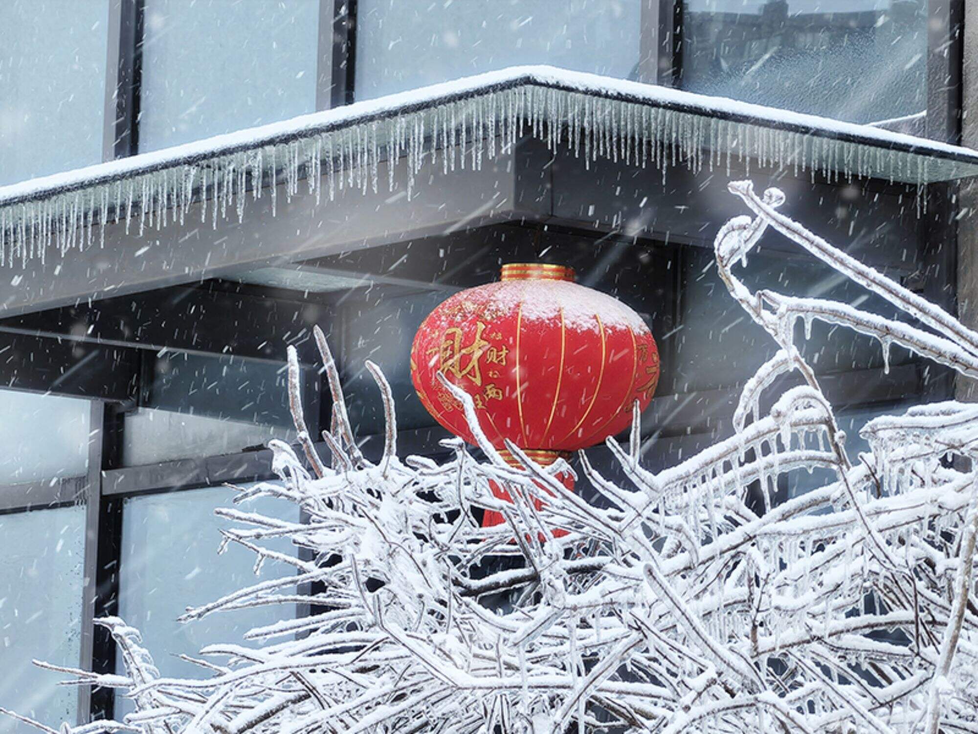 Dedizione nella neve, passione in fiamme: l'avventura di Capodanno di Demark