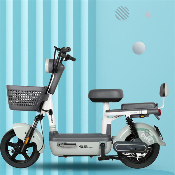 Service and Quality of Two-Wheeler Electric Bikes