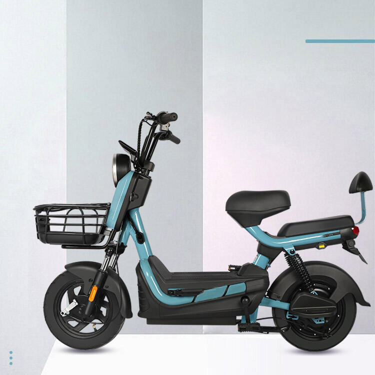 Electric Scooter Bike supplier