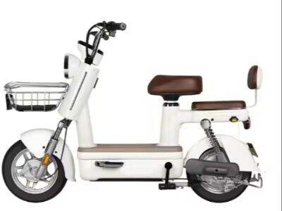 The favorite electric bicycle manufacturer of B2B companies