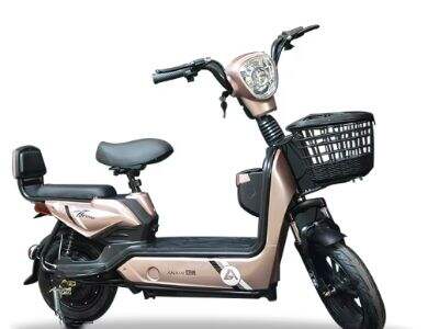 Top electric tricycle wholesaler in China